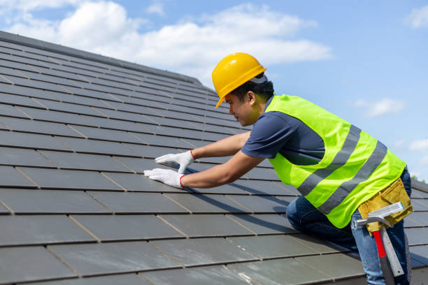 Roof Insulation in Palm Springs North, FL