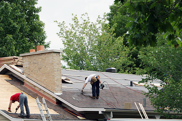 Best Chimney Flashing Repair  in Palm Springs North, FL