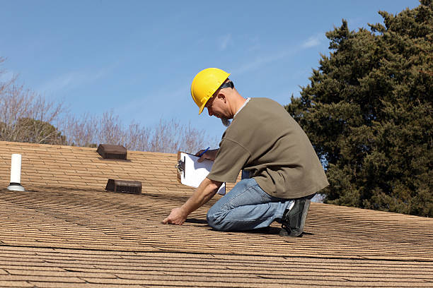 Best Skylight Installation and Repair  in Palm Springs North, FL