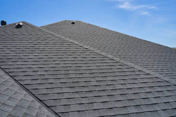 Best Roof Maintenance and Cleaning  in Palm Springs North, FL